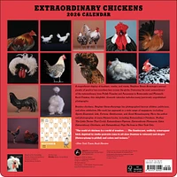 Extraordinary Chickens 2026 Wall Calendar
