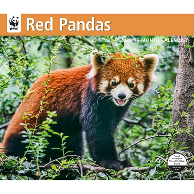 World Wildlife Fund Red Pandas  2026 Wall Calendar