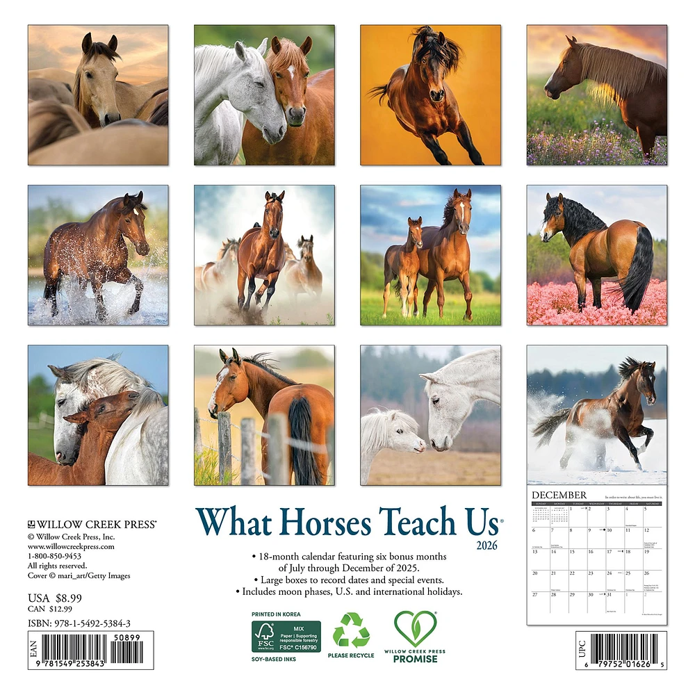 What Horses Teach Us 2026 Mini Calendar
