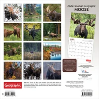 Canadian Geographic Moose 2026 Wall Calendar