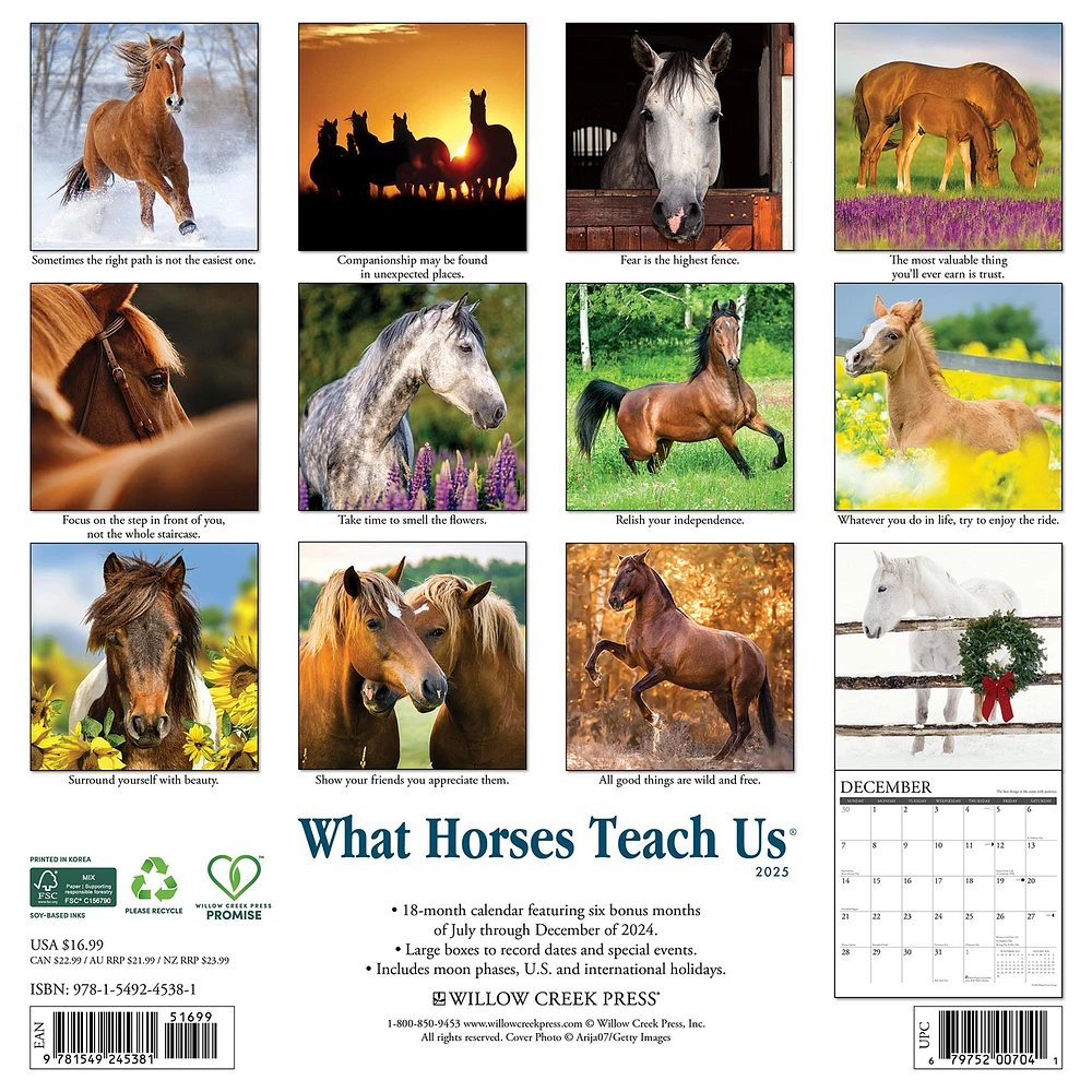 What Horses Teach Us Wall 2025 Calendar