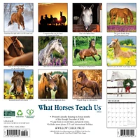 What Horses Teach Us Wall 2025 Calendar