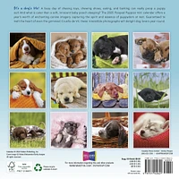 Pooped Puppies Mini 2025 Calendar