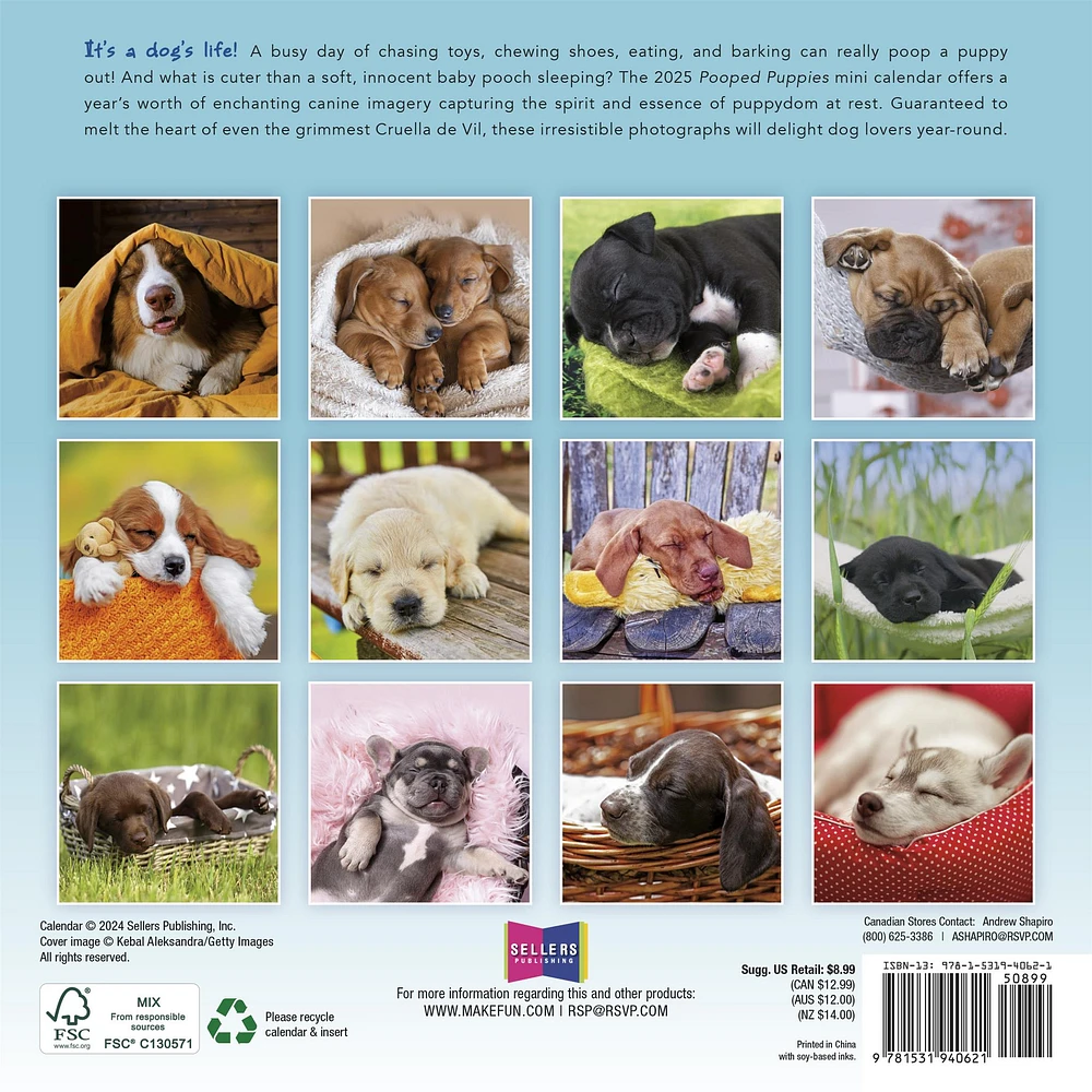 Pooped Puppies Mini 2025 Calendar