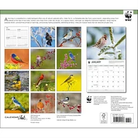 Songbirds World Wildlife Fund Wall 2025 Calendar