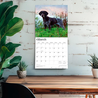 German Shorthaired Pointers 2026 Wall Calendar
