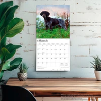 German Shorthaired Pointers 2026 Wall Calendar