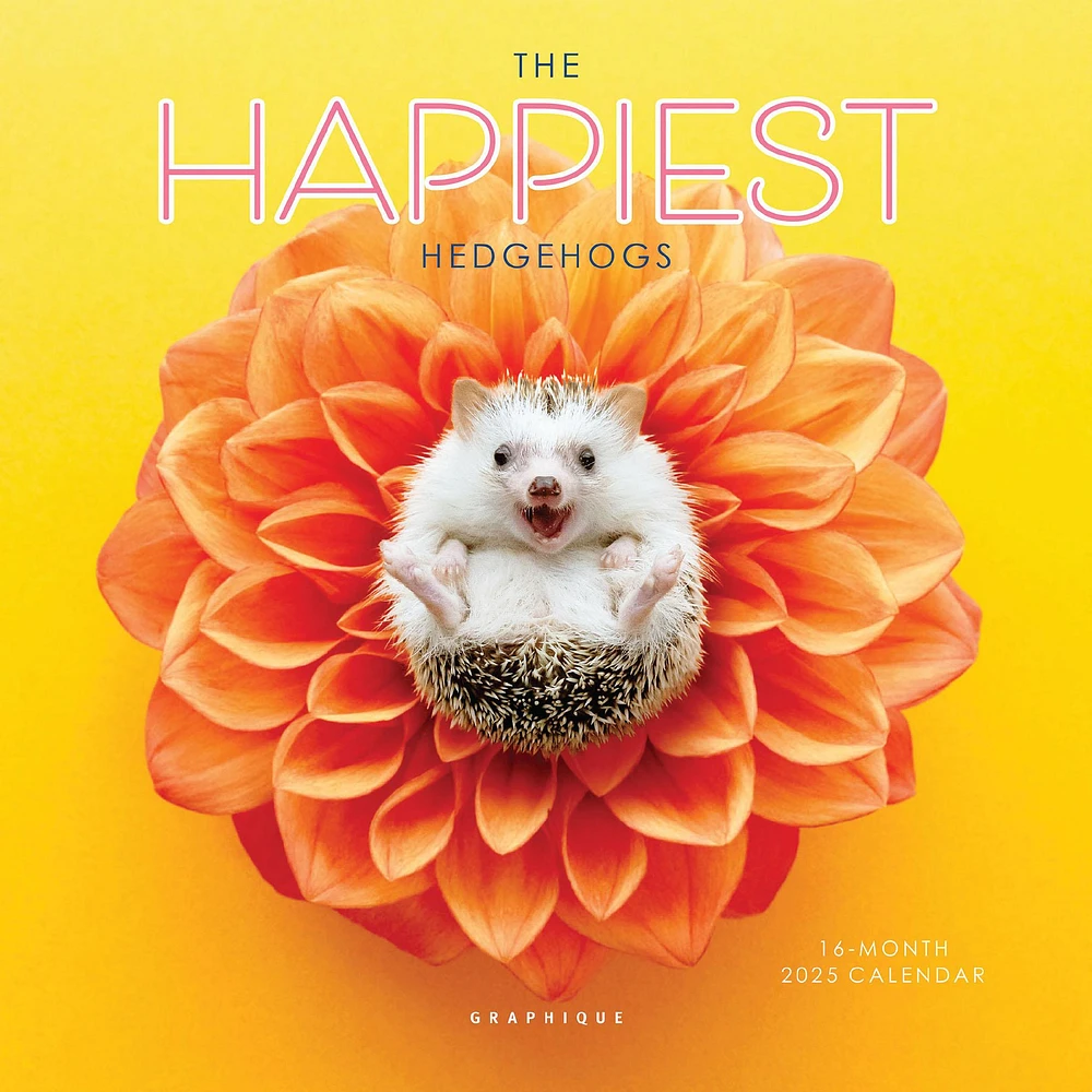 Happiest Hedgehogs Mini 2025 Calendar