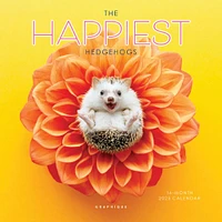 Happiest Hedgehogs Mini 2025 Calendar