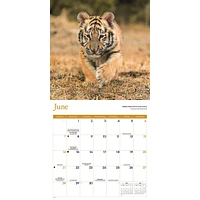 Baby Animals 2026 Wall Calendar