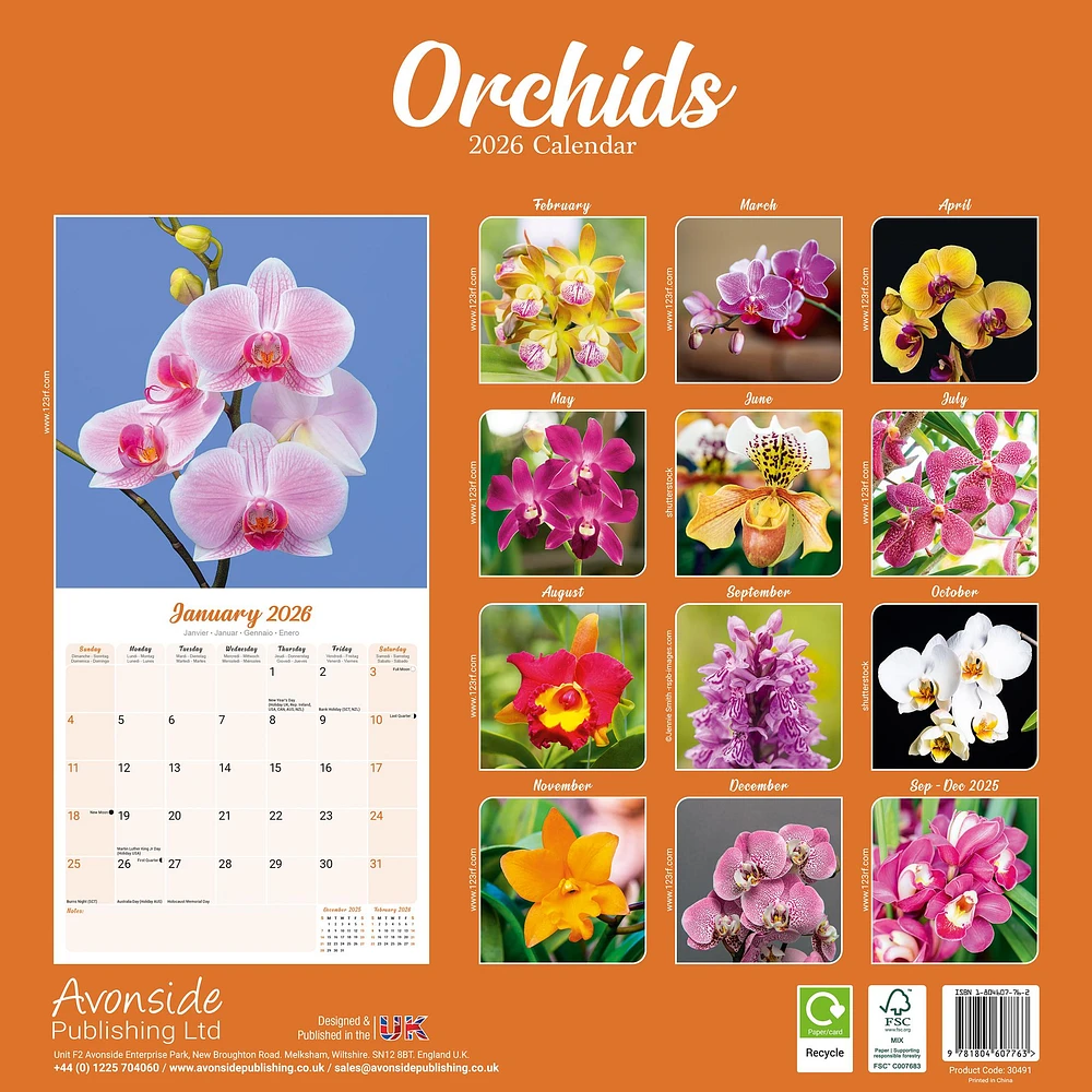 Orchids 2026 Wall Calendar
