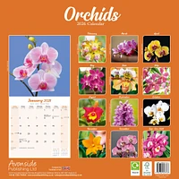 Orchids 2026 Wall Calendar