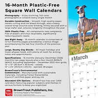 Greyhounds 2026 Wall Calendar