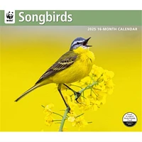 Songbirds World Wildlife Fund Wall 2025 Calendar