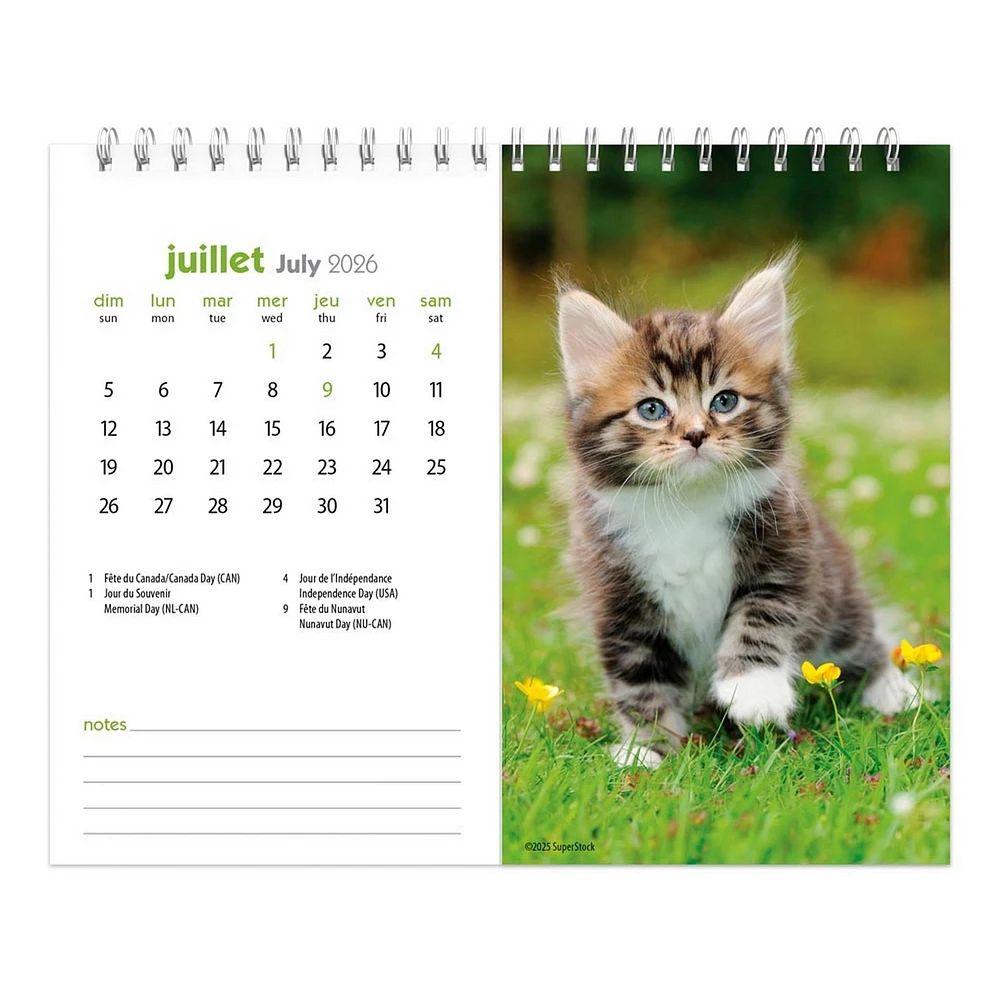 Chatons 2026 Double View Easel Calendar(French)