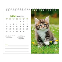 Chatons 2026 Double View Easel Calendar(French)