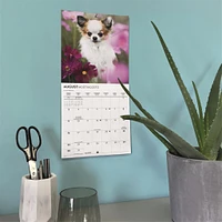 Chihuahua Puppies 2026 Mini Calendar
