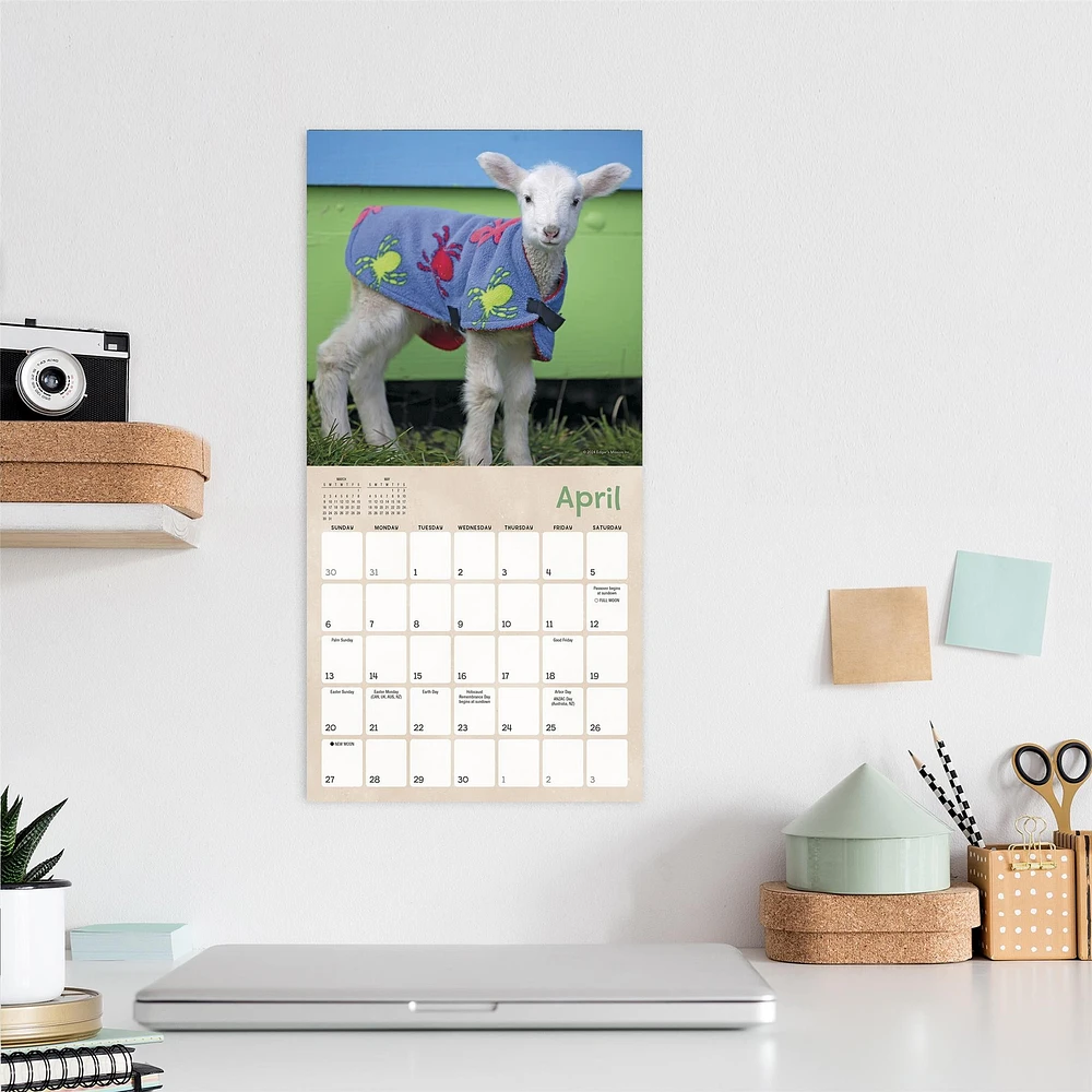 Lambies In Jammies And Goats In Coats Mini 2025 Calendar