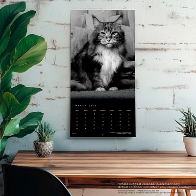 Cat The Regal 2026 Wall Calendar - Online Exclusive