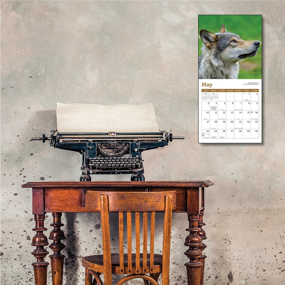 Wolves 2026 Mini Calendar