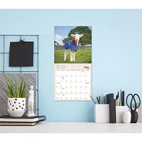 Lambies In Jammies And Goats In Coats 2026 Mini Calendar