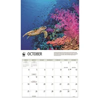 World Wildlife Fund Sea Turtles 2026 Wall Calendar