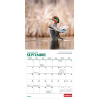 Canadian Geographic Oiseaux 2026 Mini Calendar (French)