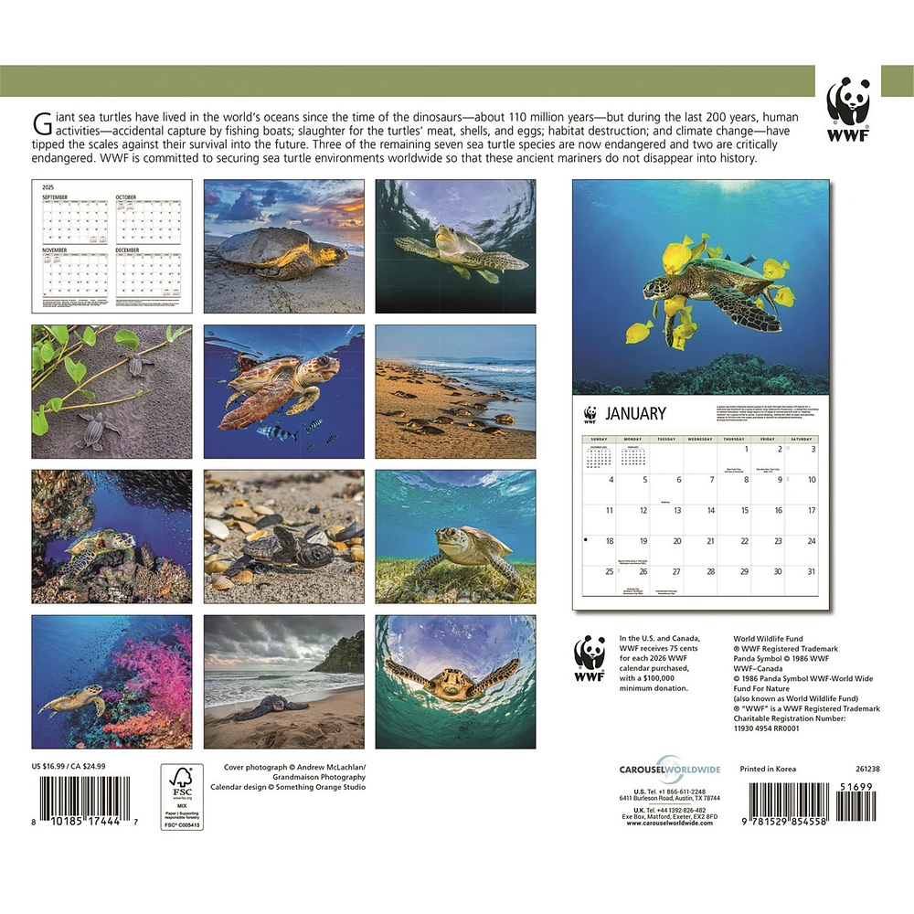 World Wildlife Fund Sea Turtles 2026 Wall Calendar