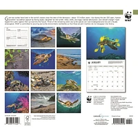 World Wildlife Fund Sea Turtles 2026 Wall Calendar