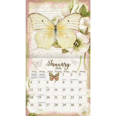 Butterflies 2026 Wall Calendar - Online Exclusive