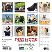 Pug Mugs Mini 2025 Calendar