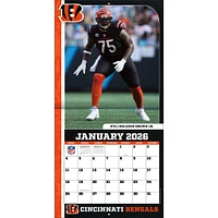 NFL Cincinnati Bengals 2026 Wall Calendar - Online Exclusive