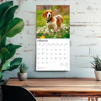 Beagles 2026 Wall Calendar
