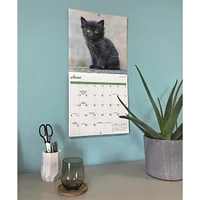 Black Kittens 2026 Wall Calendar