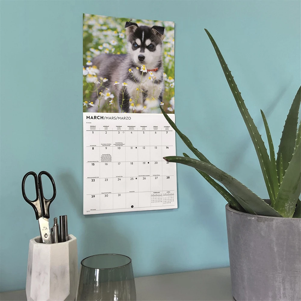 Siberian Husky Puppies 2026 Mini Calendar