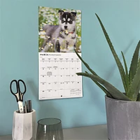 Siberian Husky Puppies 2026 Mini Calendar
