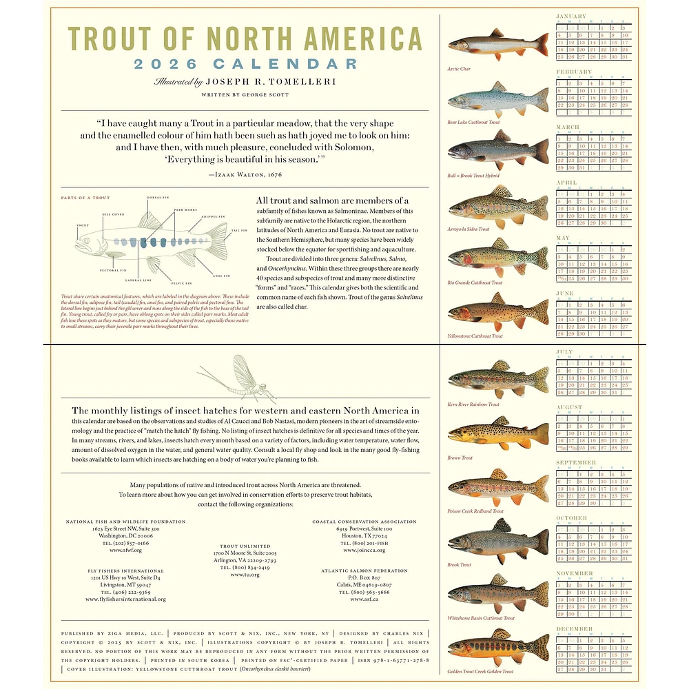 Trout Of North America 2026 Wall Calendar