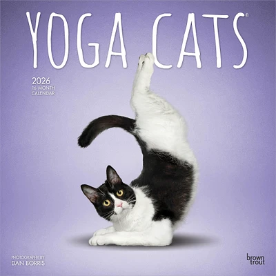 Yoga Cats 2026 Wall Calendar