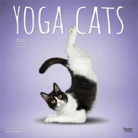 Yoga Cats 2026 Wall Calendar