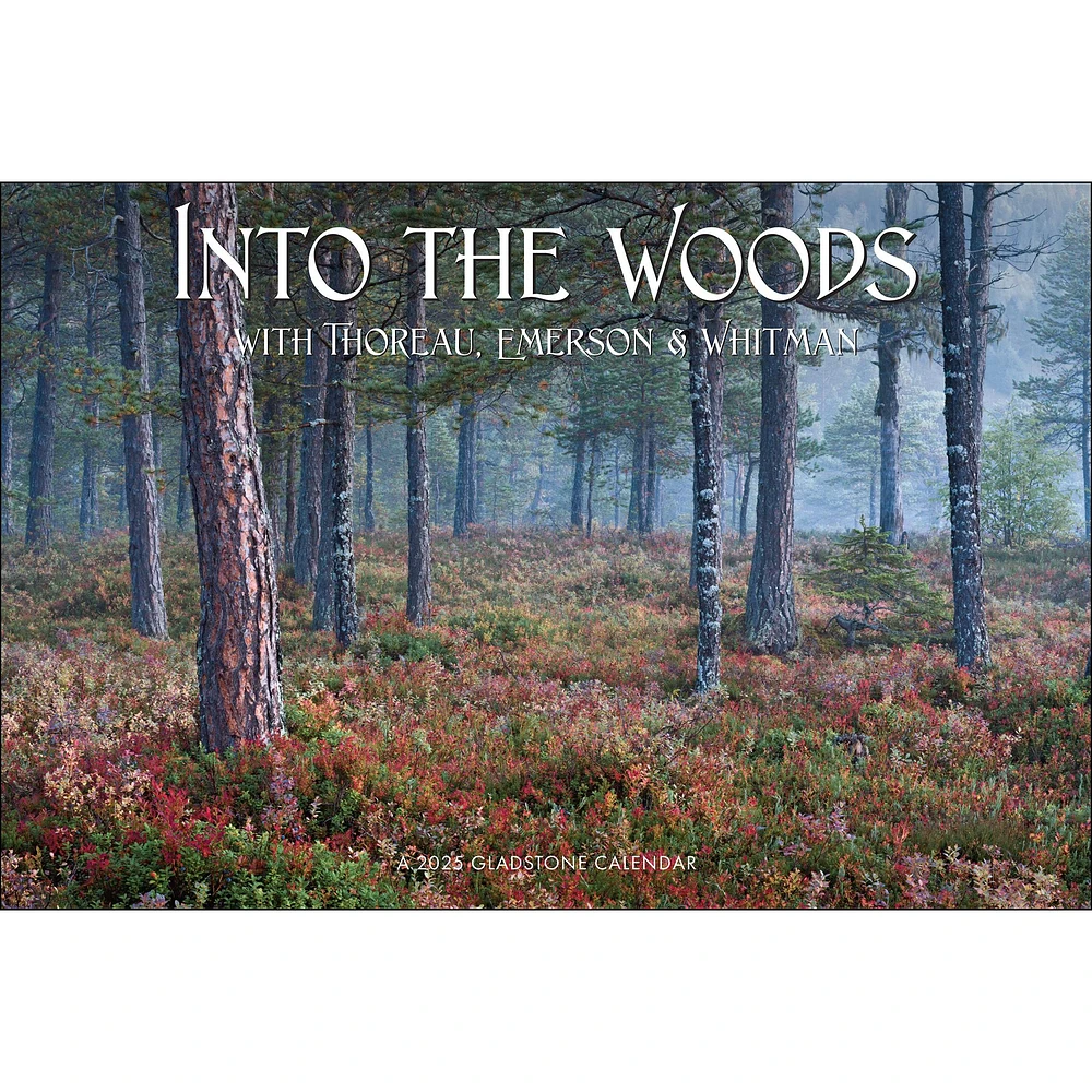 Into The Woods Oversized Wall 2025 Calendar