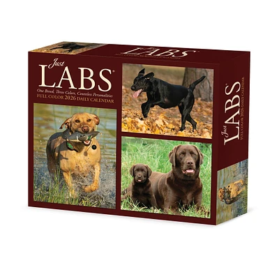 Just Labs 2026 Box Calendar - Online Exclusive