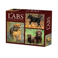 Just Labs 2026 Box Calendar - Online Exclusive
