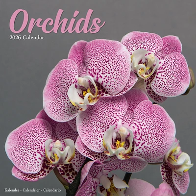 Orchids 2026 Wall Calendar