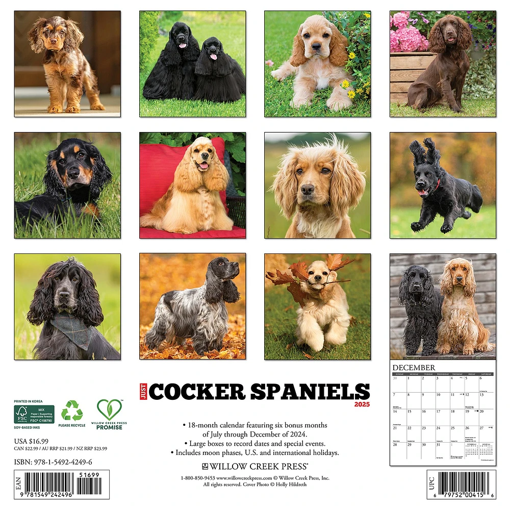 Just Cocker Spaniels Wall 2025 Calendar