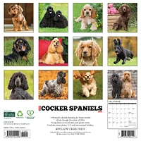 Just Cocker Spaniels Wall 2025 Calendar