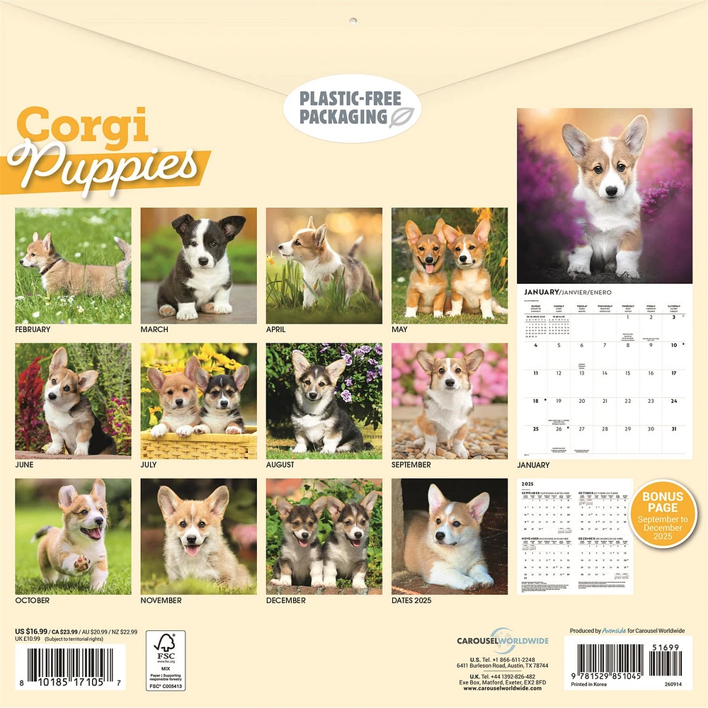 Corgi Puppies 2026 Wall Calendar