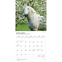 Chevaux 2026 Wall Calendar (French)