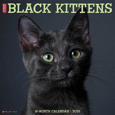 Just Black Kittens 2026 Wall Calendar - Online Exclusive