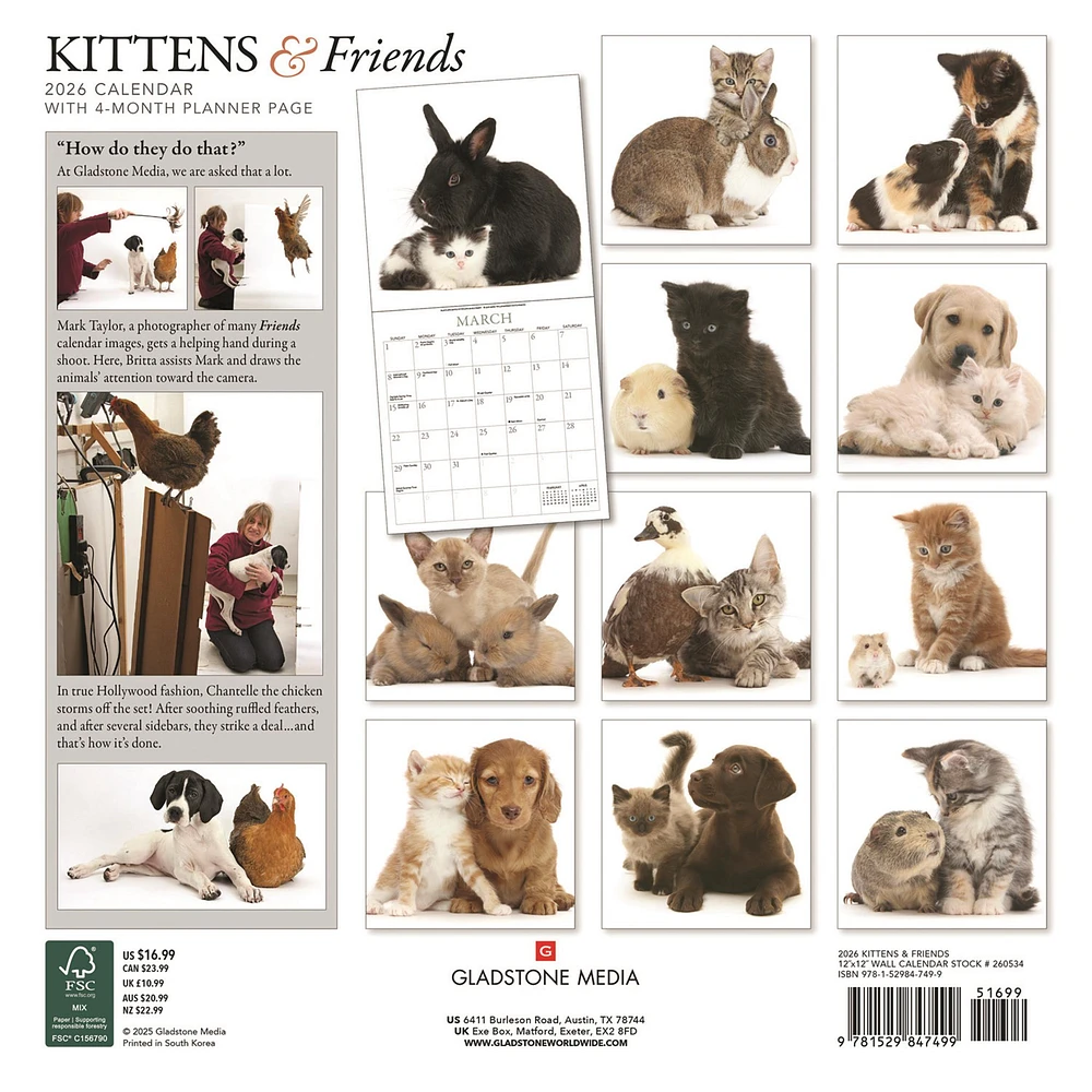 Kittens And Friends Wall  2026 Calendar