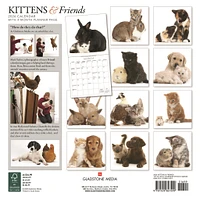 Kittens And Friends Wall  2026 Calendar